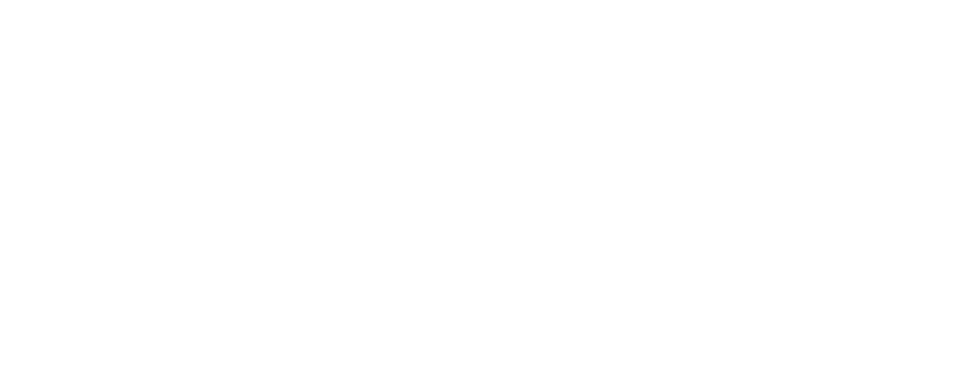 Ford Logo White